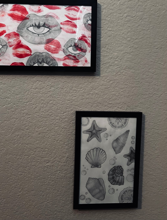 Sallys Seashells framed